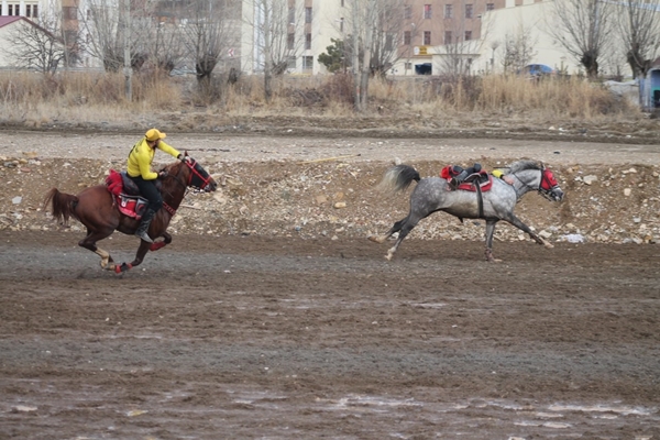 Foto - Atlar depremzedeler için dörtnala koştu