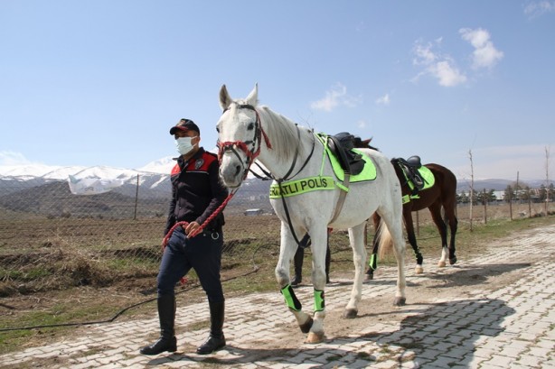 Foto - Atlı polisler vatandaşların huzur ve güvenliği için devriye geziyor