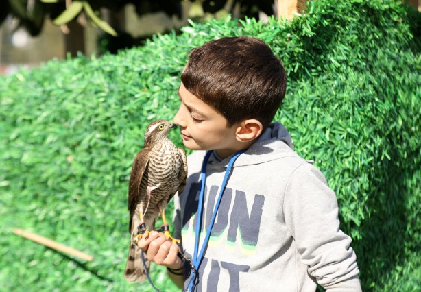 Foto - Atmaca ve şahin güzellik festivali düzenlendi