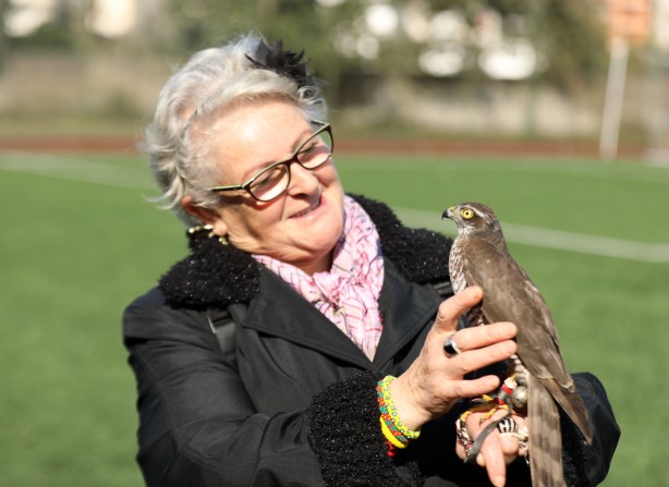 Foto - Atmaca ve şahin güzellik festivali düzenlendi