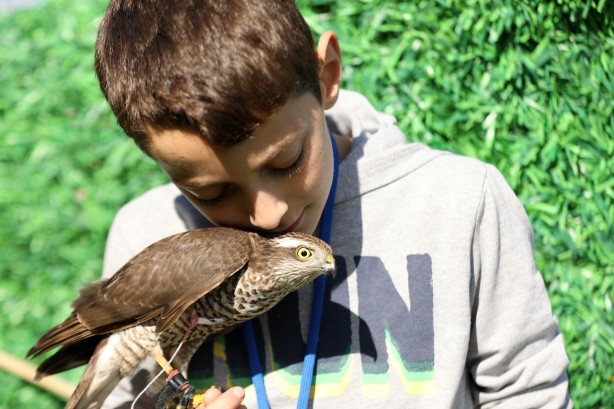 Foto - Atmaca ve şahin güzellik festivali düzenlendi