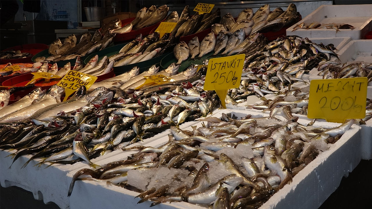Foto - Av sezonu sona erdi! Bereket devam ediyor