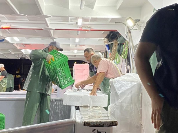 Foto - Av yasağı bitti, sezonun ilk balıkları avlandı