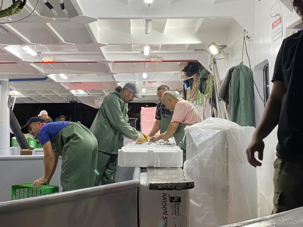 Foto - Av yasağı bitti, sezonun ilk balıkları avlandı