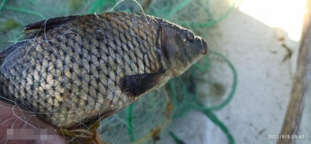 Avlanması yasak! İhlal edenlere para cezası uygulanacak