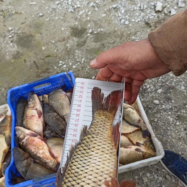 Foto - Avlanması yasak! İhlal edenlere para cezası uygulanacak