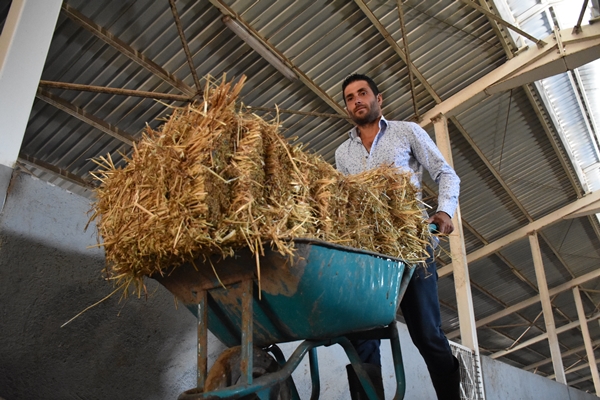 Foto - AVM yöneticiliğini bırakıp bu işe başladı... Şimdi gelen siparişlere yetişemiyor