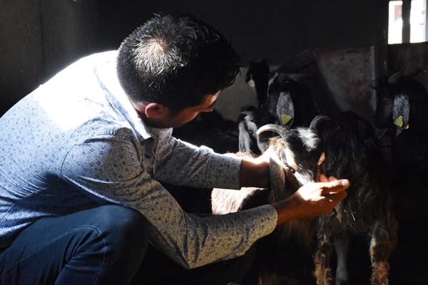 Foto - AVM yöneticiliğini bırakıp bu işe başladı... Şimdi gelen siparişlere yetişemiyor