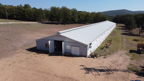 AVM yöneticiliğini bırakıp bu işe başladı... Şimdi gelen siparişlere yetişemiyor