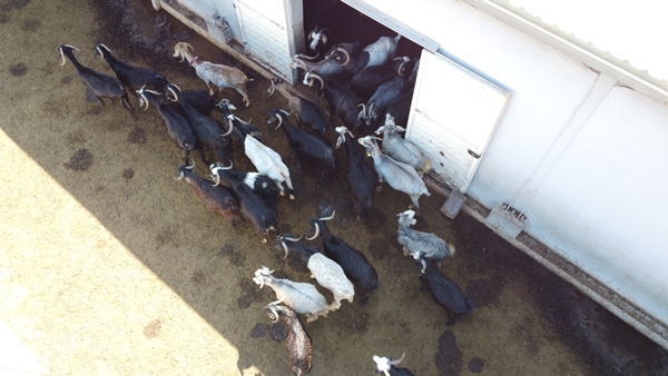 Foto - AVM yöneticiliğini bırakıp bu işe başladı... Şimdi gelen siparişlere yetişemiyor