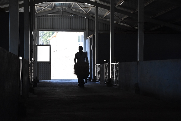 Foto - AVM yöneticiliğini bırakıp bu işe başladı... Şimdi gelen siparişlere yetişemiyor