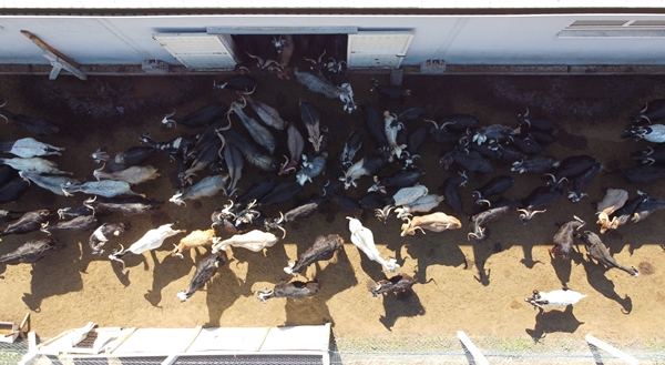 Foto - AVM yöneticiliğini bırakıp bu işe başladı... Şimdi gelen siparişlere yetişemiyor