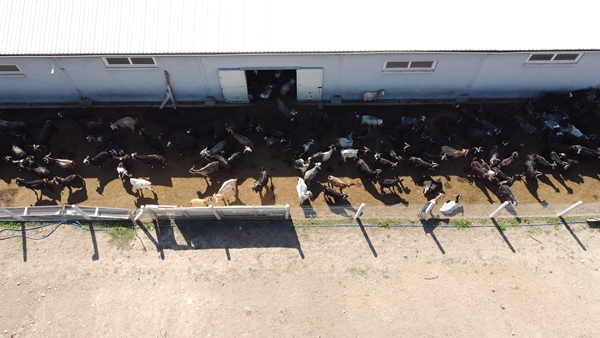 Foto - AVM yöneticiliğini bırakıp bu işe başladı... Şimdi gelen siparişlere yetişemiyor