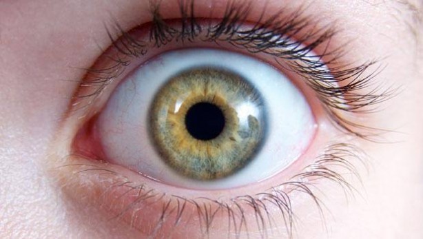 Foto - Avokadonun bilinmeyen faydaları