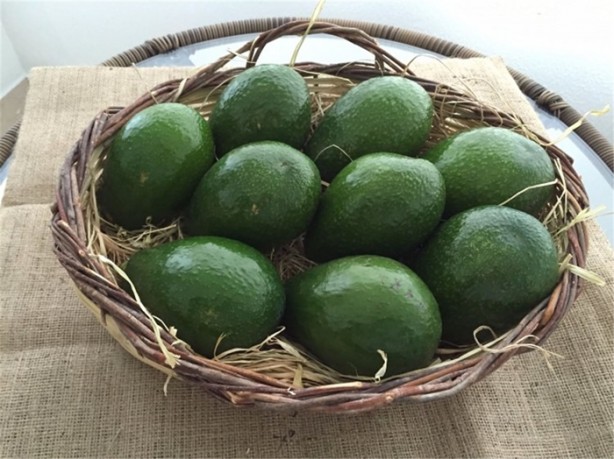 Foto - Avokadonun muhteşem faydaları