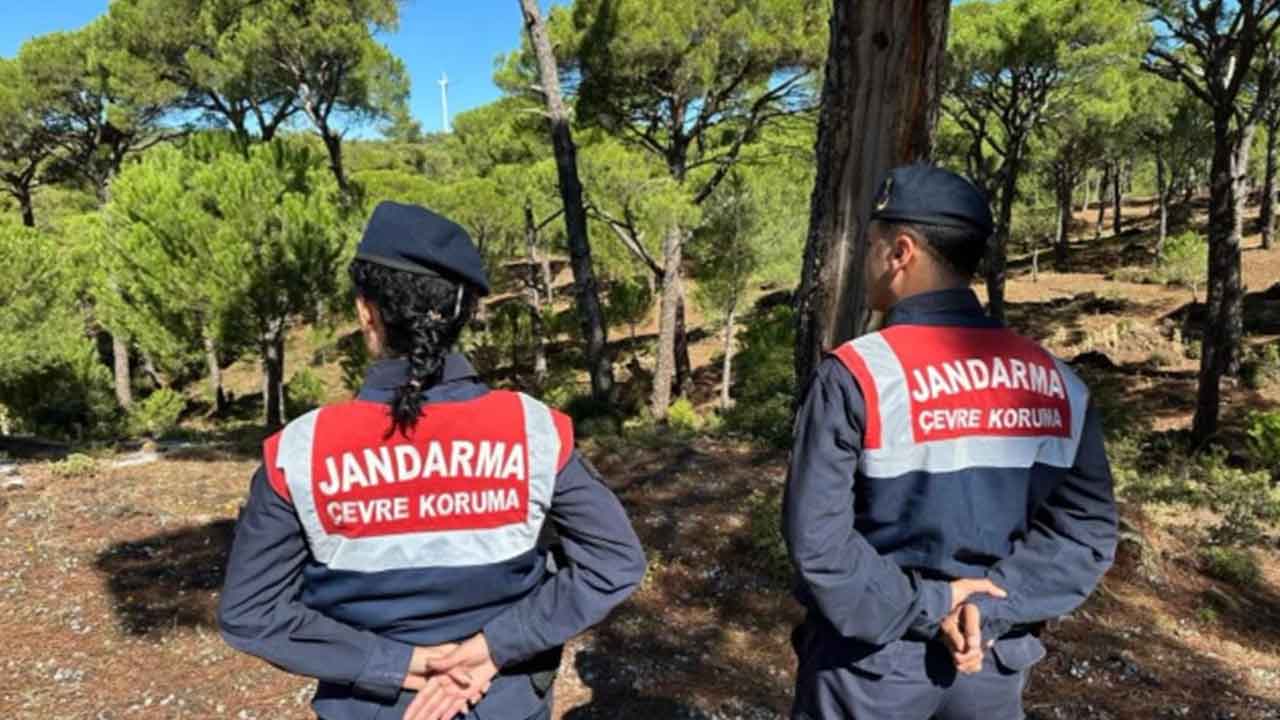 Avrupa alarm verdi! Milli servetimize göz diktiler, kaçırmak istiyorlar