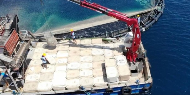 Foto - Avrupa Birliği ülkeleri arasında birinciyiz! Türkiye 106 ülkeye satıyor! 1,4 milyar dolar değerinde su ürünleri ihracatı