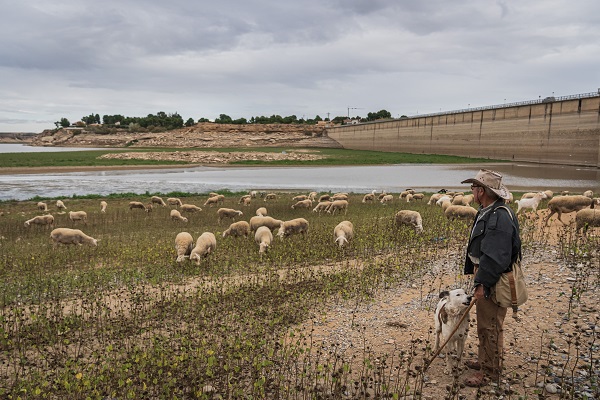 Foto - Avrupa kuraklıkla boğuşuyor! Hidroelektrik santralinin kapısına kilit vuruldu