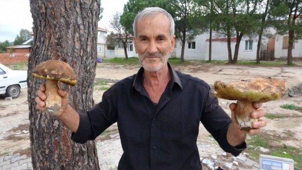 Foto - Avrupa peşine düştü! Mavi olanına dikkat edin