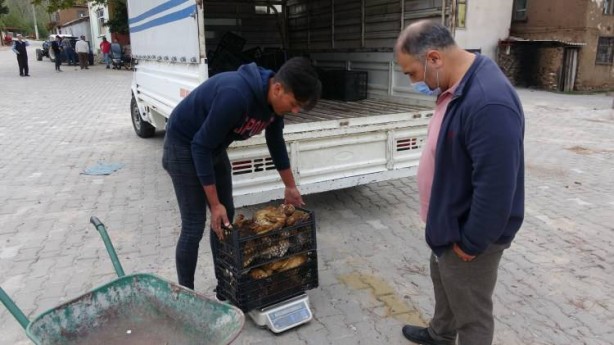Foto - Avrupa peşine düştü! Mavi olanına dikkat edin