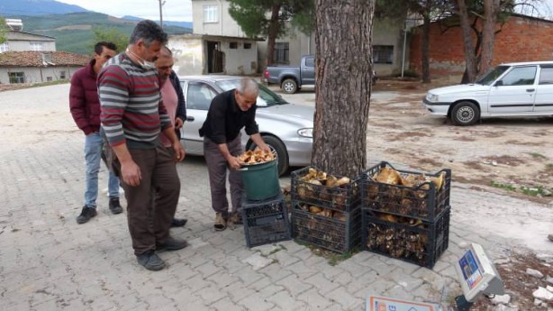 Foto - Avrupa peşine düştü! Mavi olanına dikkat edin