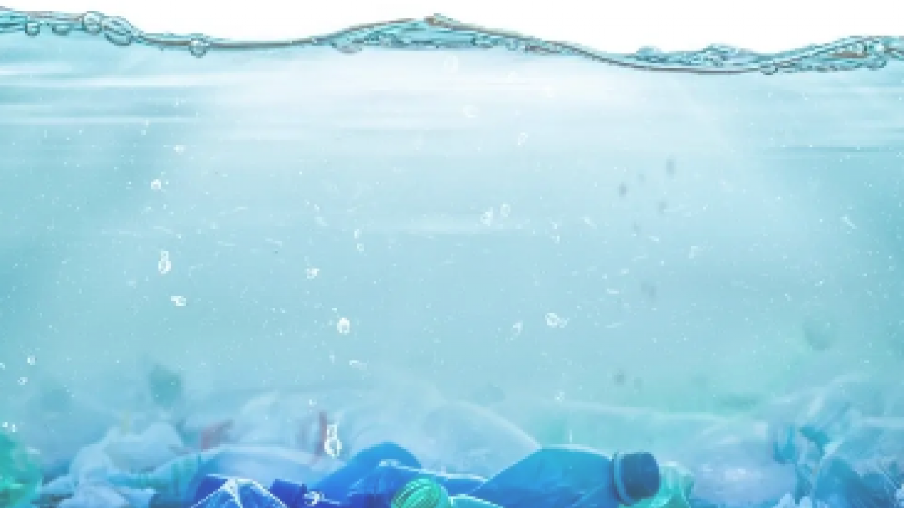 Foto - Avrupa suları tehlikede: Kirlilik son 5 yılda hızla arttı! Avrupa Çevre Ajansı açıklama yaptı