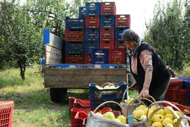 Foto - Avrupa ülkelerinin gözü kulağı bu köyde! ‘Gelse de yesek’ 