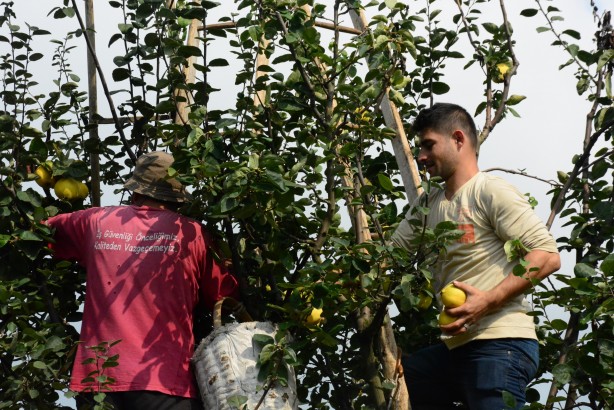 Foto - Avrupa ülkelerinin gözü kulağı bu köyde! ‘Gelse de yesek’ 