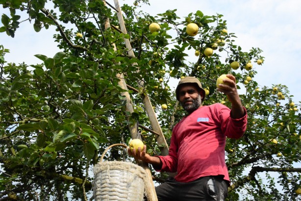 Foto - Avrupa ülkelerinin gözü kulağı bu köyde! ‘Gelse de yesek’ 