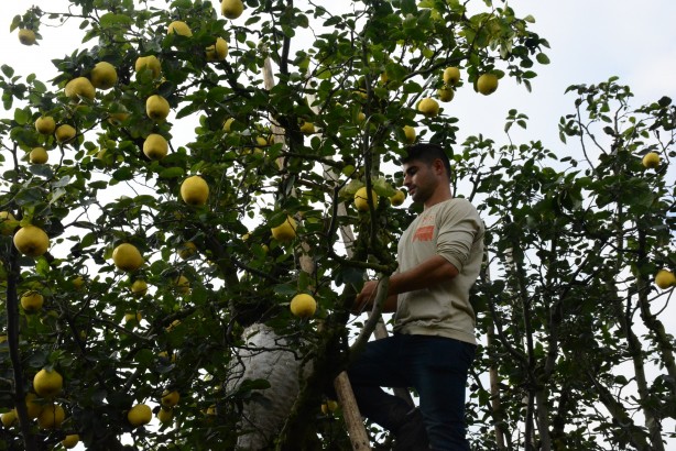 Foto - Avrupa ülkelerinin gözü kulağı bu köyde! ‘Gelse de yesek’ 