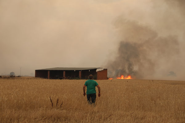 Foto - Avrupa ülkesi felaketi yaşıyor! 2 bin hektar kül oldu