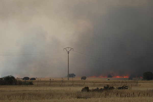 Foto - Avrupa ülkesi felaketi yaşıyor! 2 bin hektar kül oldu