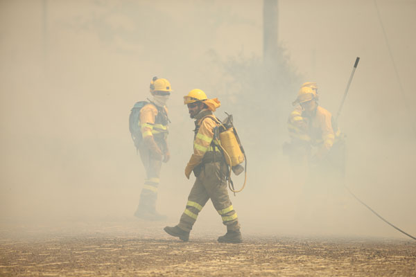 Foto - Avrupa ülkesi felaketi yaşıyor! 2 bin hektar kül oldu
