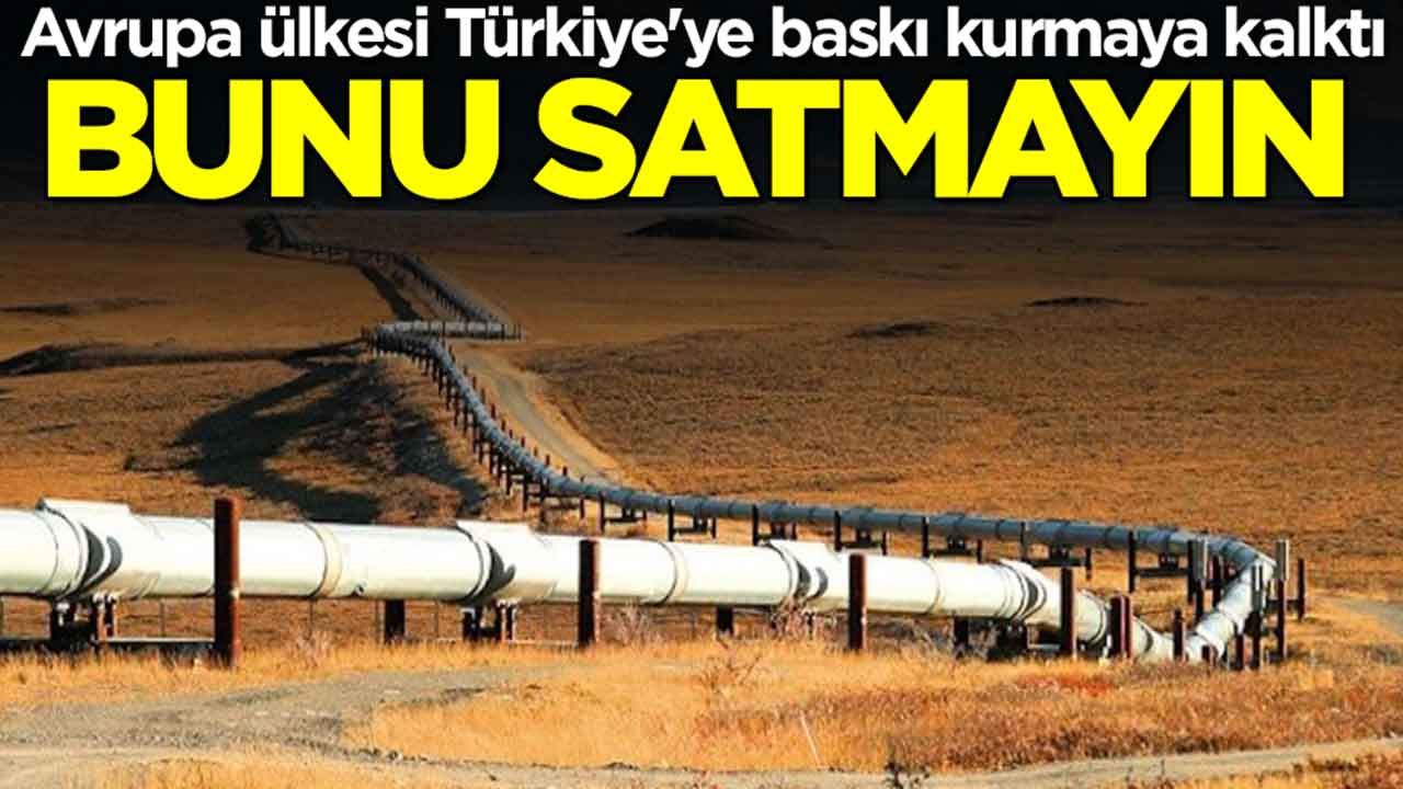 Avrupa ülkesi Türkiye'ye baskı kurmaya kalktı: Bunu satmayın