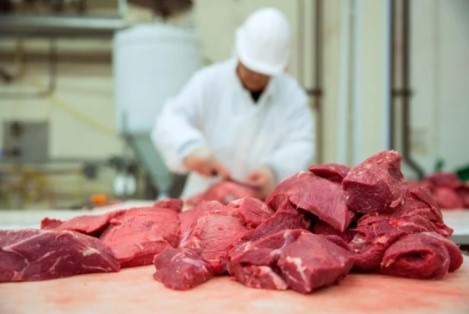 Foto - Avrupa ülkesi yabancı işçi arıyor! Türkiye'den başvuru yapılabiliyor