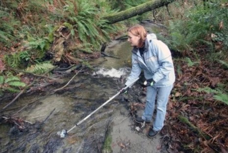 Foto - Avrupa ülkesi yabancı işçi arıyor! Türkiye'den başvuru yapılabiliyor