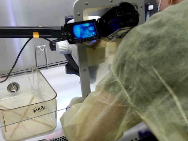 Foto - Avrupa ülkesinde çığır açacak buluş! Milyonlarca insana umut verdi