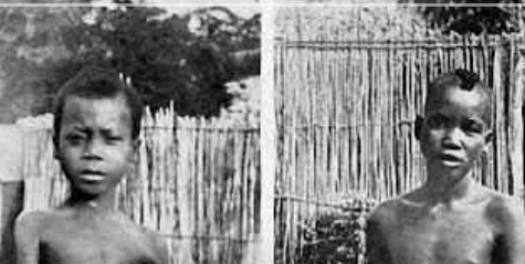 Avrupa ülkesinden olay mektup! Kral soykırımı kabul etti