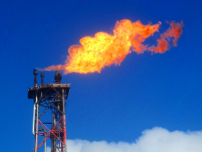 Avrupa ülkesinden Türkiye itirafı: Doğalgazsız kalabilirdik