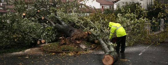 Foto - Avrupa ülkesini 'Ciaran' Fırtınası vurdu! Durum çok kritik uyarısı: Avrupa'yı altüst etti