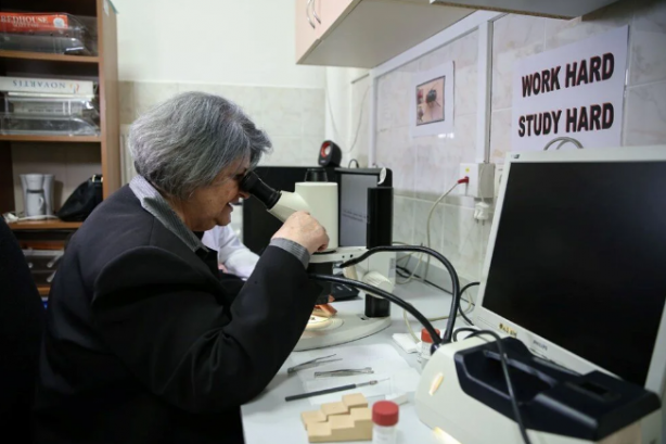 Foto - Avrupa ve Amerika Türkiye'deki bu böcekleri takip ediyor! Müthiş özellik