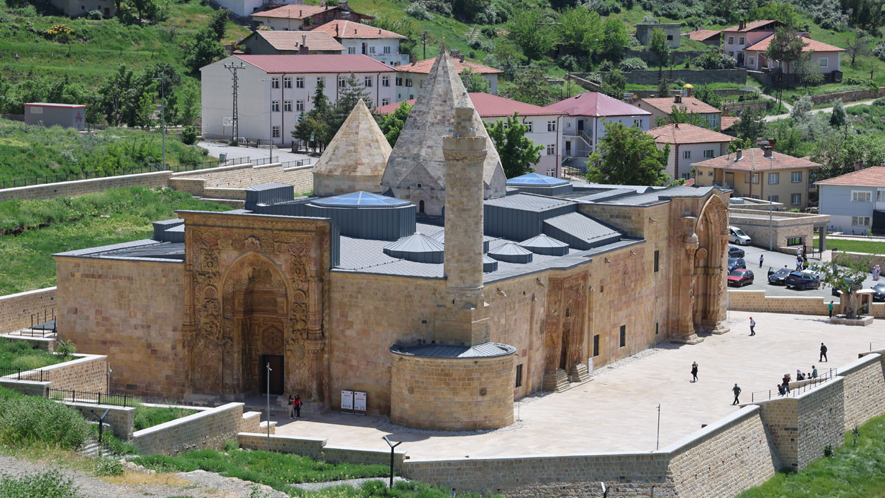 Avrupa’da diri diri yakılıyorlardı, Türkiye'de sesle tedavi edildiler
