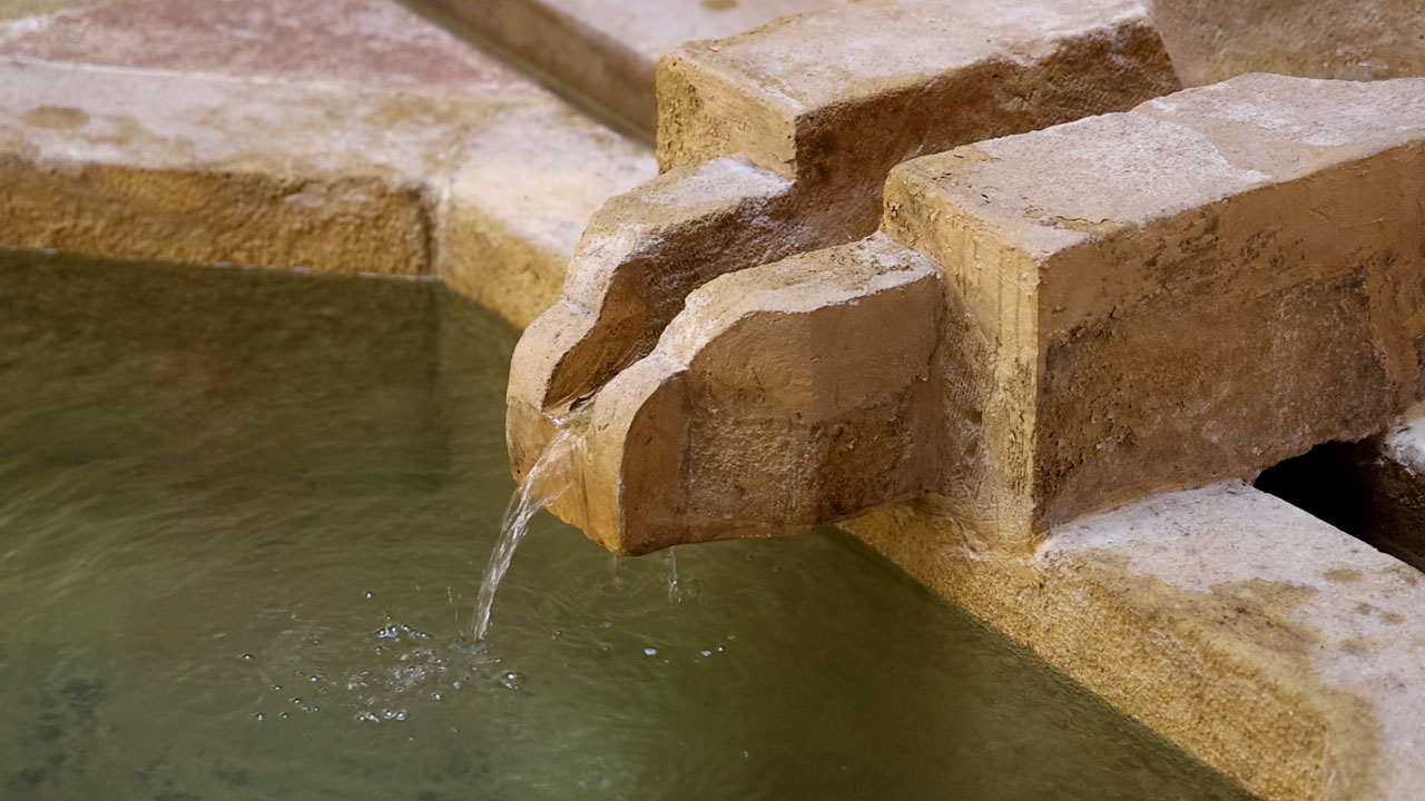 Foto - Avrupa’da diri diri yakılıyorlardı, Türkiye'de sesle tedavi edildiler