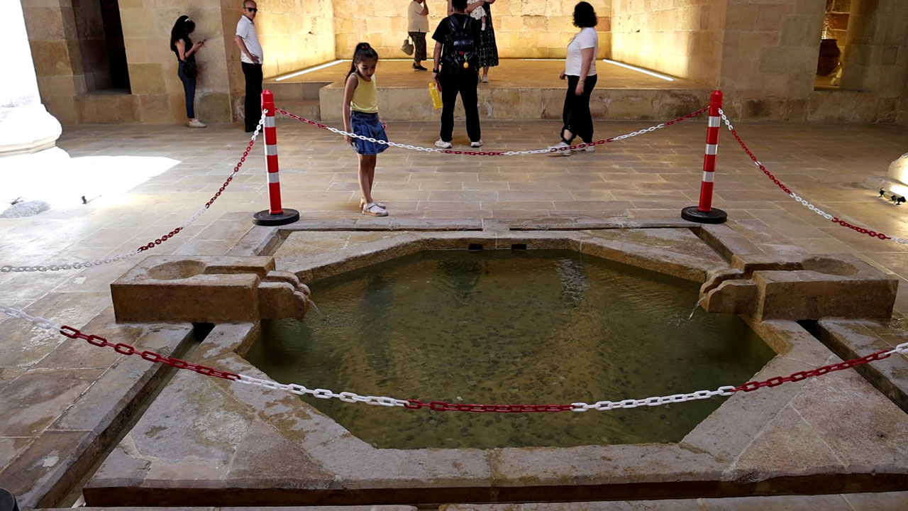 Foto - Avrupa’da diri diri yakılıyorlardı, Türkiye'de sesle tedavi edildiler