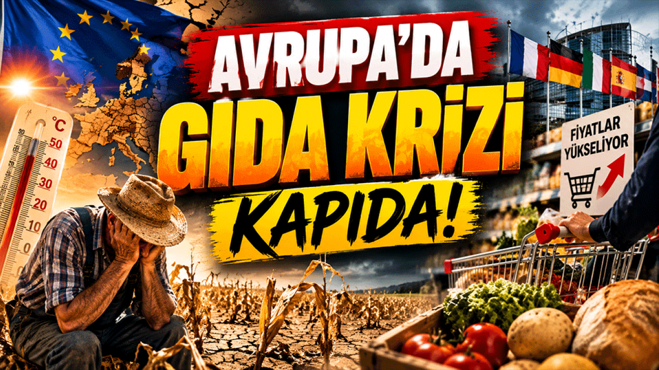 Avrupa’da gıda krizi kapıda! Rekolte çöktü, fiyat alarmı verildi