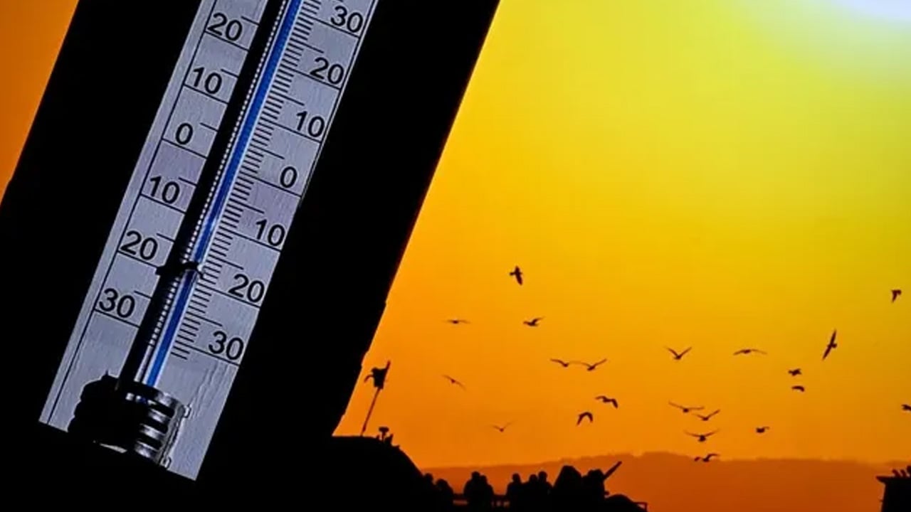  Avrupa'daki korkutan tablo... Aşırı sıcaklarla karşı karşıya: Kadınlar ve erkekler ölümle burun buruna