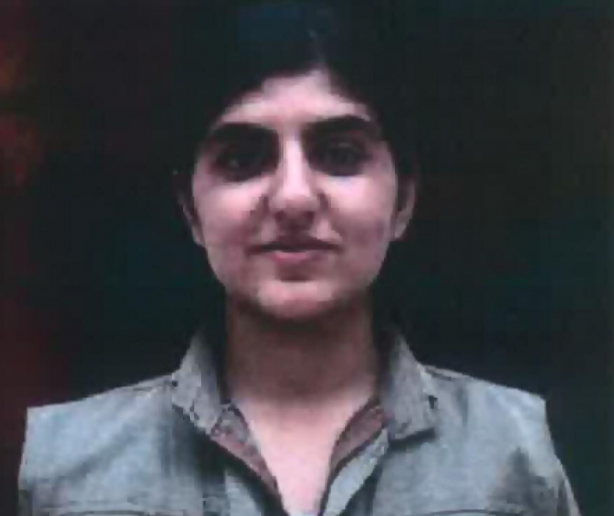 Foto - Avrupa'daki Kürtler PKK'ya isyan etti! Eli kanlı örgütün suç dosyasını tek tek anlattılar