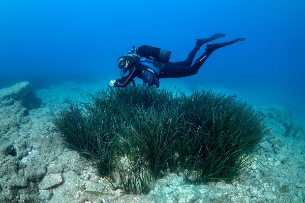Foto - Avrupa’nın en iyi korunan açık alanı: Dalyan Kanalı