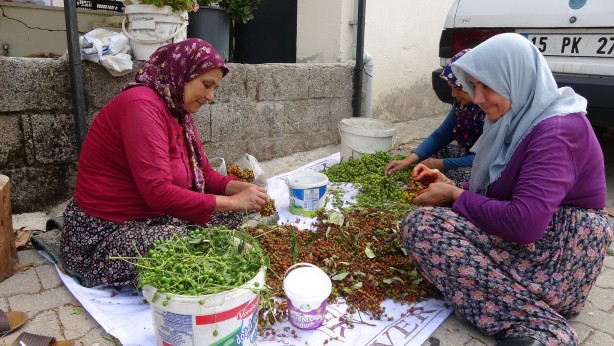 Foto - Avrupa'nın Noel kutlamalarındaki kapı süsleri Burdur'dan