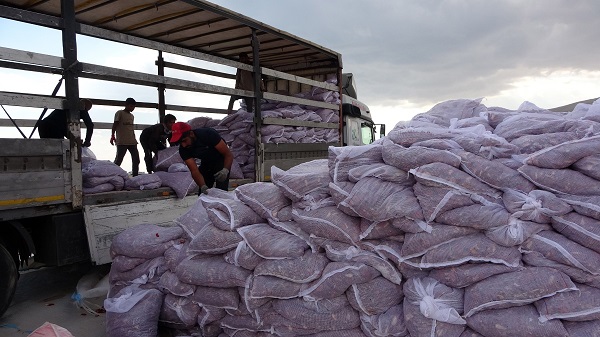 Foto - Avrupa'ya domates o ilimizden gidiyor